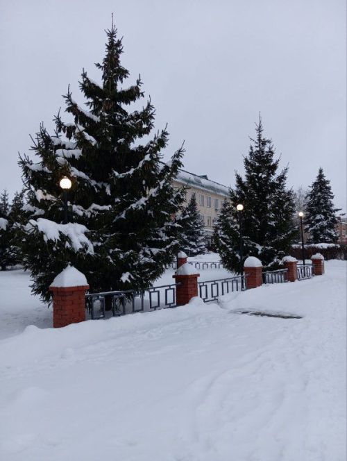 Прогноз погоды на 24 декабря