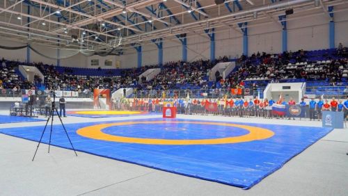 Студент Агрызского филиала Нижнекамского колледжа завоевал серебро на Чемпионате ПФО по панкратиону