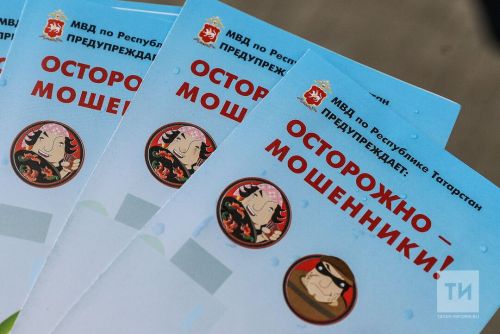 Татарстанда акча урлау өчен сайтлар булдырган аферистны хөкем иткәннәр
