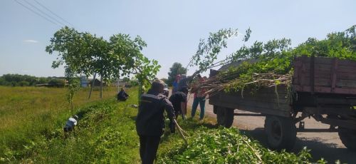 В Агрызском районе началась активная работа по благоустройству сельских территорий