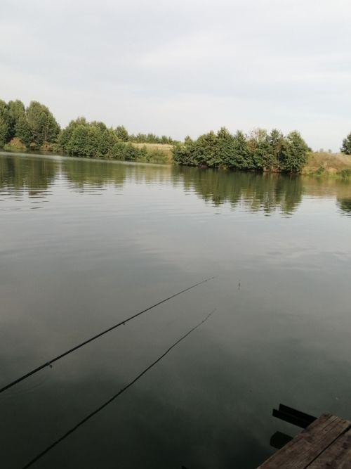 Прогноз погоды на 1 августа в Агрызе