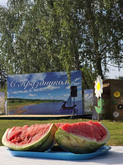 Красный Борга 425 ел: традицияләрне һәм талантларны берләштергән якты бәйрәм