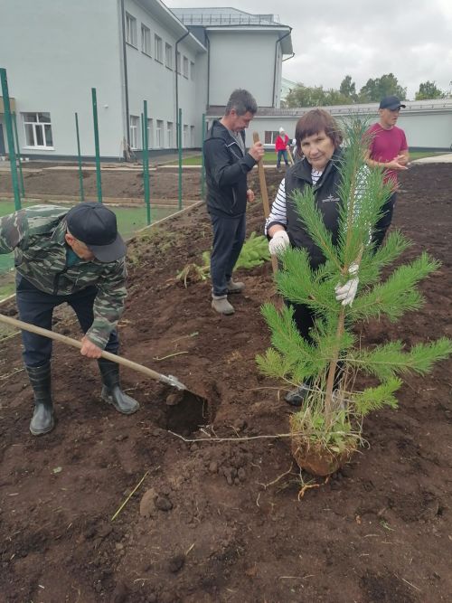 В Агрызе появилась Аллея спортивных наставников
