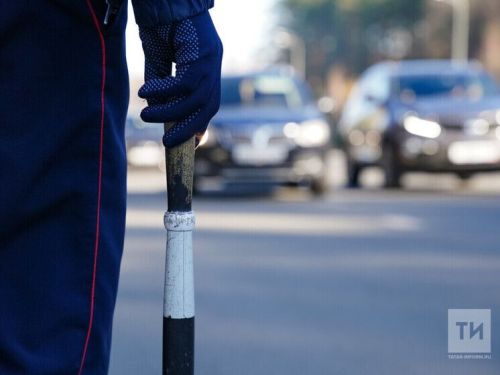 В рамках ОПМ «Ремень безопасности» в Агрызском районе выявлено 30 нарушений