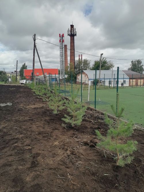 В Агрызе появилась Аллея спортивных наставников