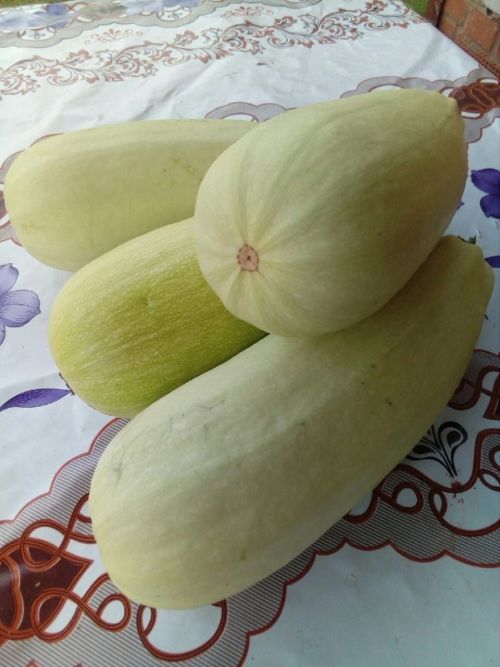 Рецепт кабачкового пирога