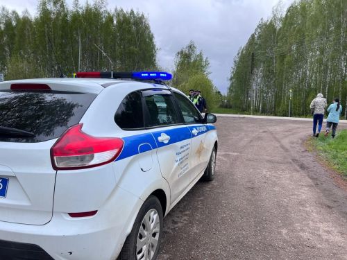 В Агрызе подвели итоги рейда «Такси»