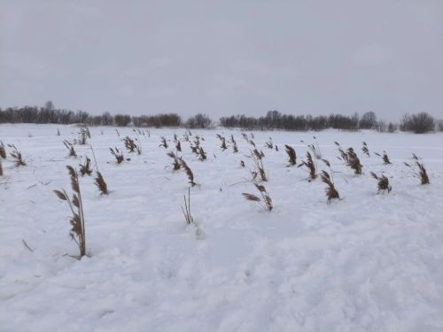 Защитники природы Агрызского района присоединились к акции «Рыбе – быть!»