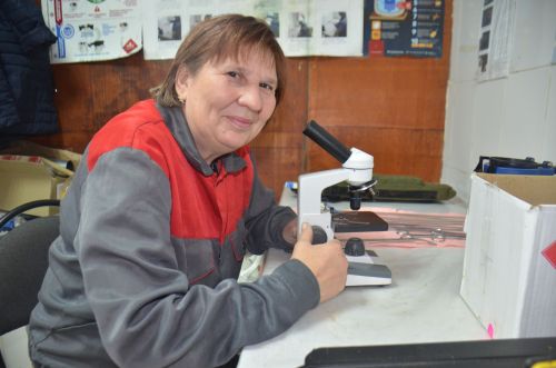 Сыер савучы, зоотехник, осеменатор