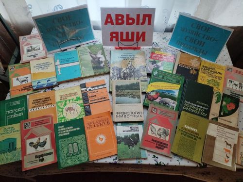 Салагыш авыл китапханәсендә “Авыл яши” исемле күргәзмә оештырылды