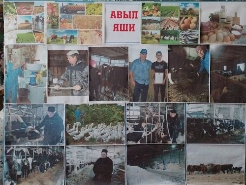 Салагыш авыл китапханәсендә “Авыл яши” исемле күргәзмә оештырылды