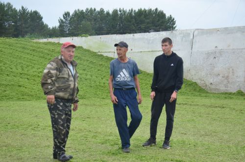 Район хуҗалыкларында терлек азыгы хәзерләү кампаниясе бара