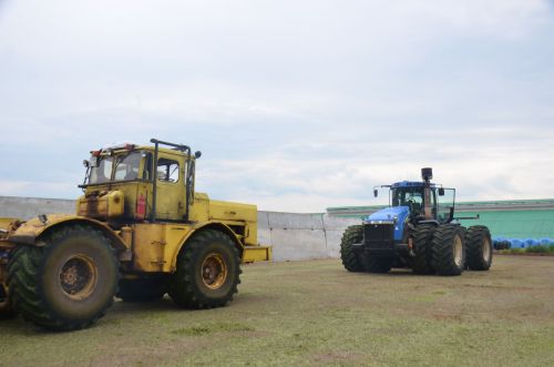Район хуҗалыкларында терлек азыгы хәзерләү кампаниясе бара