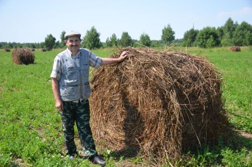 Район хуҗалыкларында терлек азыгы хәзерләү дәвам итә
