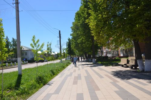 О соблюдении правил благоустройства и ответственности за их нарушение: беседа с Эльверой Сулеймановой
