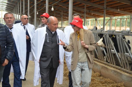 Әгерҗе районы үсештә