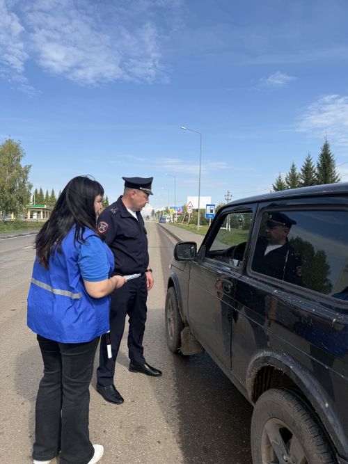Госавтоинспекция Агрызского района напомнила взрослым о безопасности детей в автомобиле