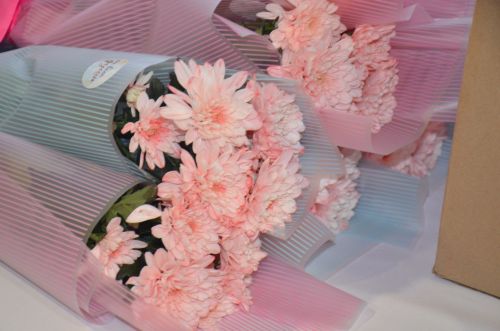 Чествование тружеников села