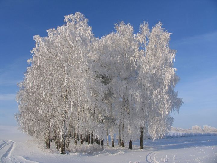 Кышның беренче көне белән, дуслар