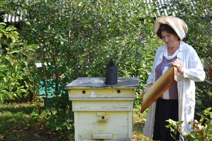 Безопасность пчел – это благополучие семьи