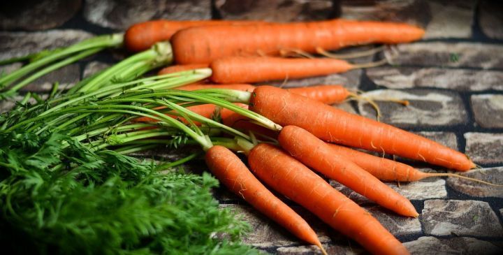 Сохраняем морковь от болезней