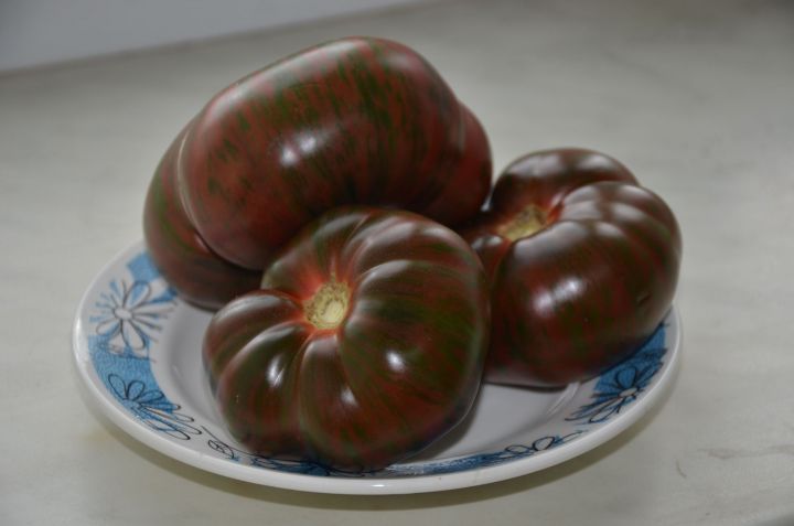 В нелегкий томатный сезон 2019 года томаты-экзоты впечатляют своей гиперурожайностью