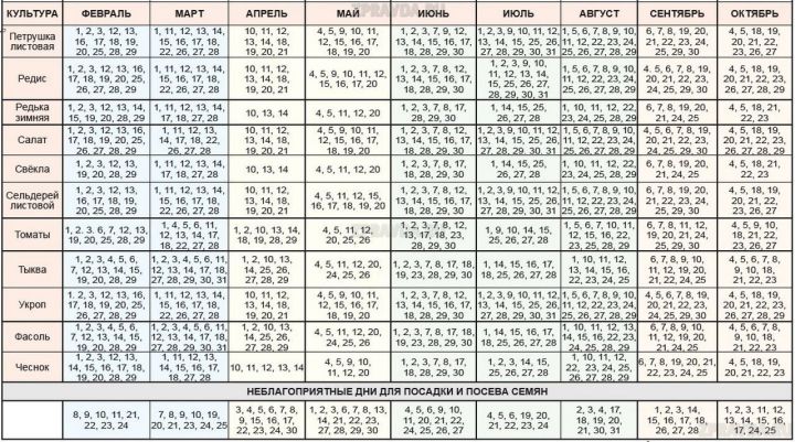Лунный посевной календарь на 2020 год: Таблица благоприятных дней для посадки различных культур по месяцам