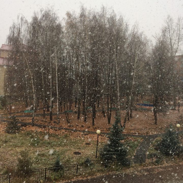 В нескольких районах республики выпал первый снег