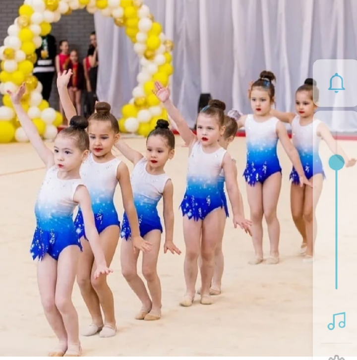 Маленькие гимнастки Агрыза заняли первое место на международном турнире