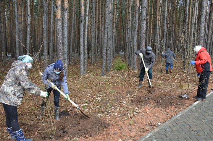 Әгерҗедә “Хәтер бакчасы – тормыш бакчасы“ акциясенә старт бирелде