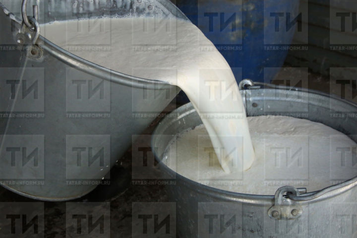 Цены на молоко в Агрызском районе