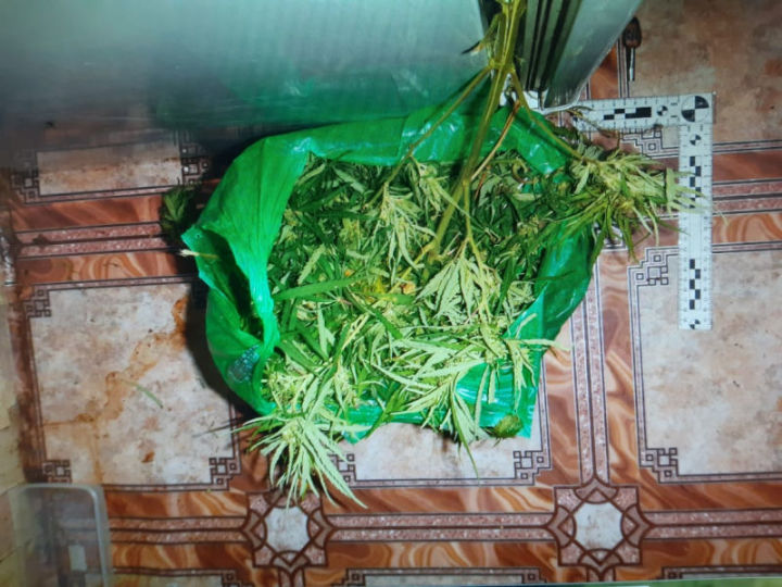 Почти килограмм конопли изъяли у жителя Агрыза