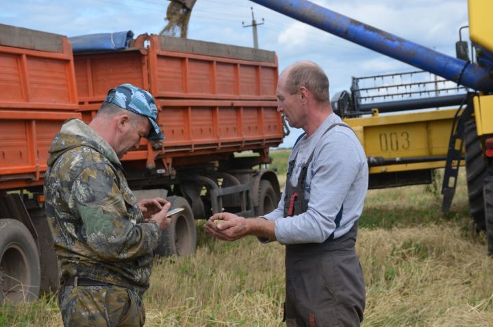 В Татарстане собран второй миллион тонн зерна нового урожая