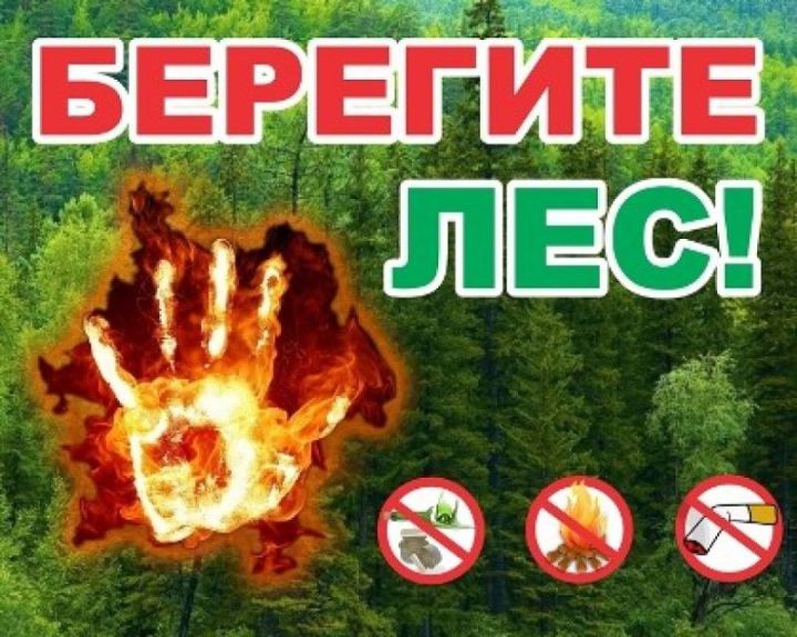 Прогноз высокой пожарной опасности лесов на территории Республики Татарстан