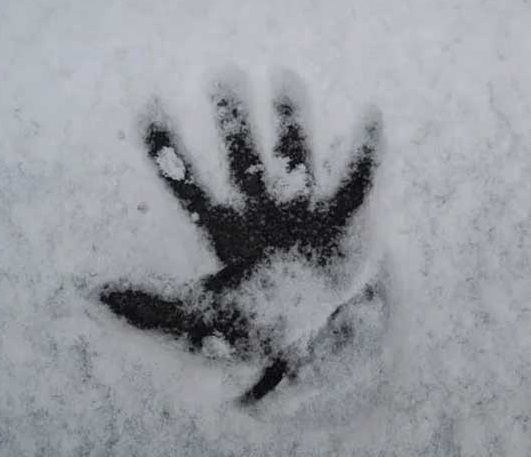 Жительница Татарстана оставила годовалую дочку в сарае на ночь в 30-градусный мороз