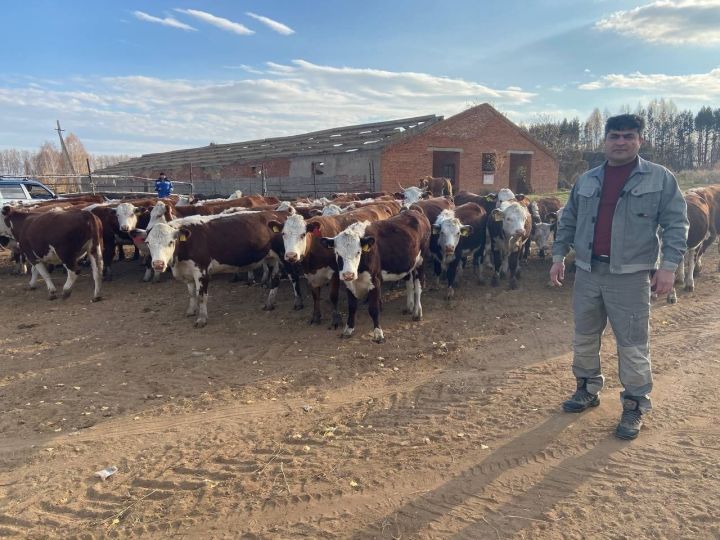 Сургутский предприниматель развивает сельское хозяйство в Агрызском районе