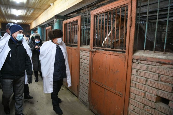Рустам Минниханов оценил идею запуска производства конины в Агрызе