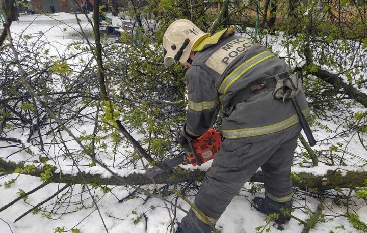 Снегопад и ветер повалил 70 деревьев: работают 42 бригады энергетиков