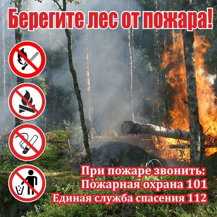 На территории Татарстана сохраняется высокая пожарная опасность лесов