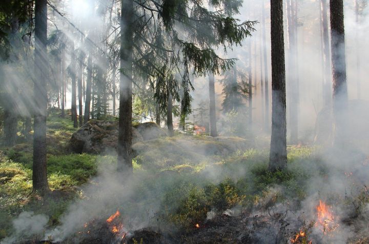 В районе начался пожароопасный сезон