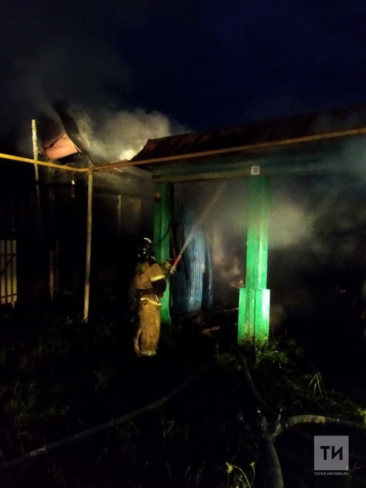 На пожаре в Агрызском районе погиб человек