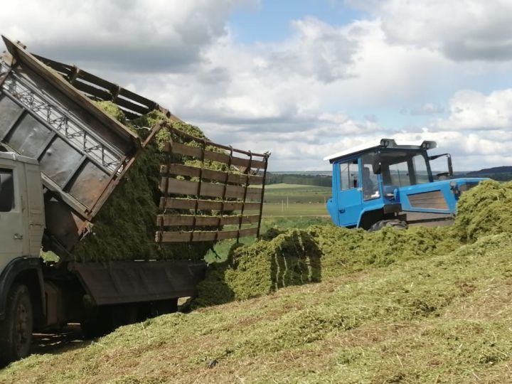 Районда терлек азыгы хәзерләү ничек бара?