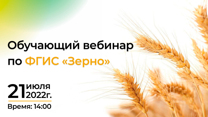 Участников рынка зерна приглашают на обучающий вебинар по ФГИС «Зерно»