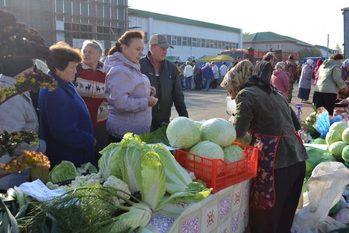 Сельскохозяйственные ярмарки в Казани пройдут на 15 площадках (АДРЕСА)