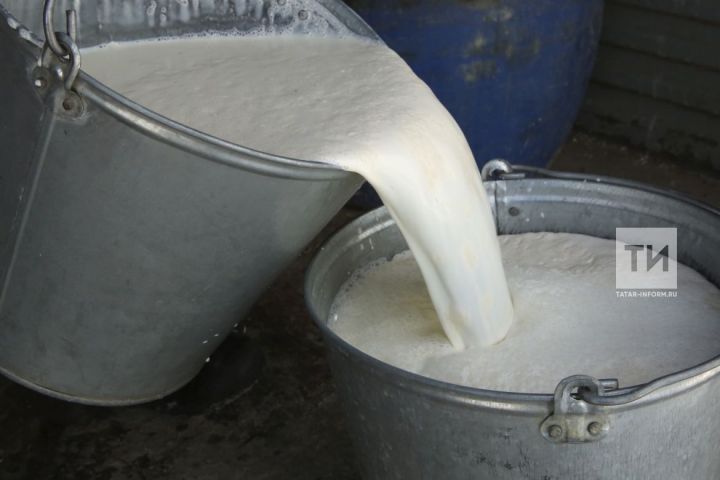 Цены на молоко в Агрызском районе