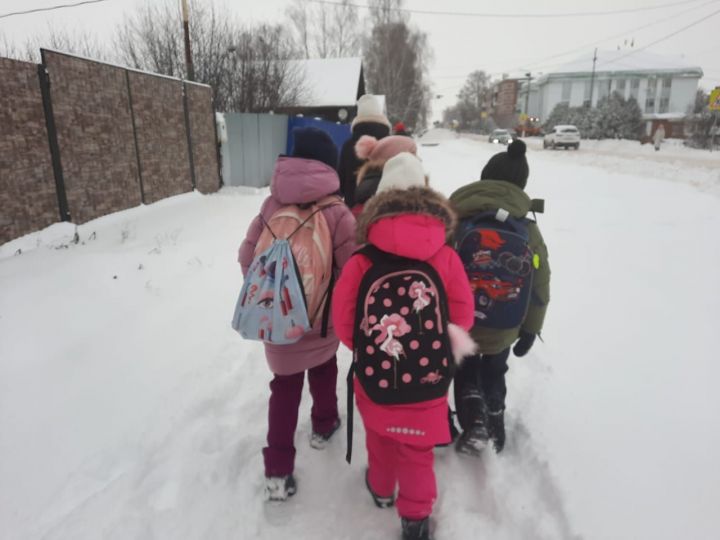 В Татарстане могут быть отменены школьные занятия