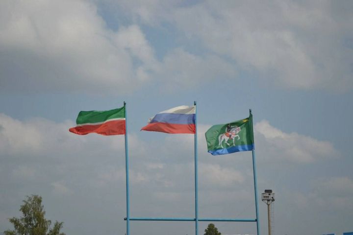 Әгерҗе районында өч җирлектә сайлау узды