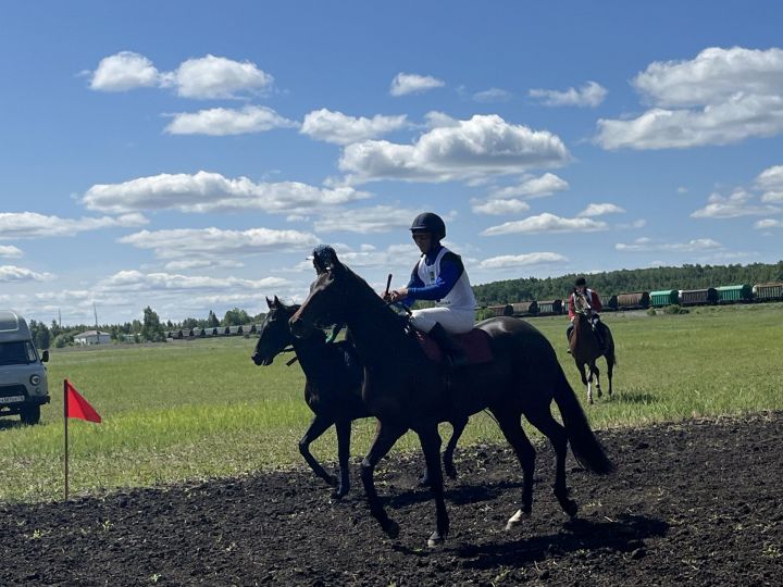 Сабантуй в Агрызе стартовал с конных скачек