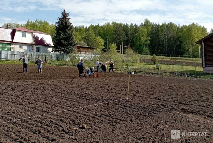 Бакча сукалаучы ир-ат аяксыз калган