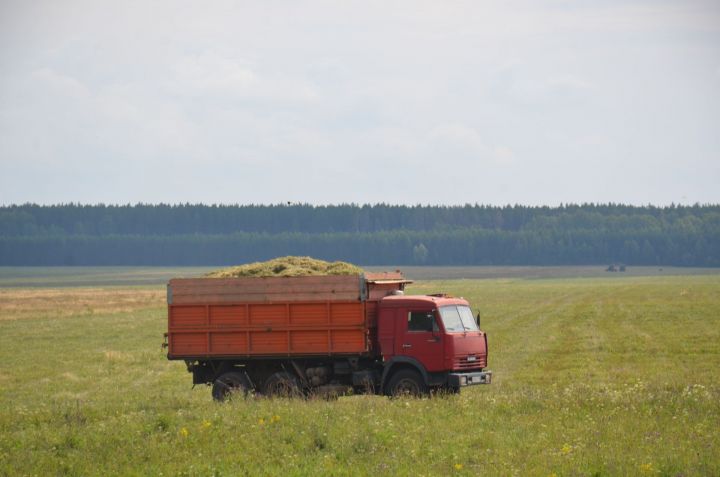 Район кырларында арыш, арпа сугалар